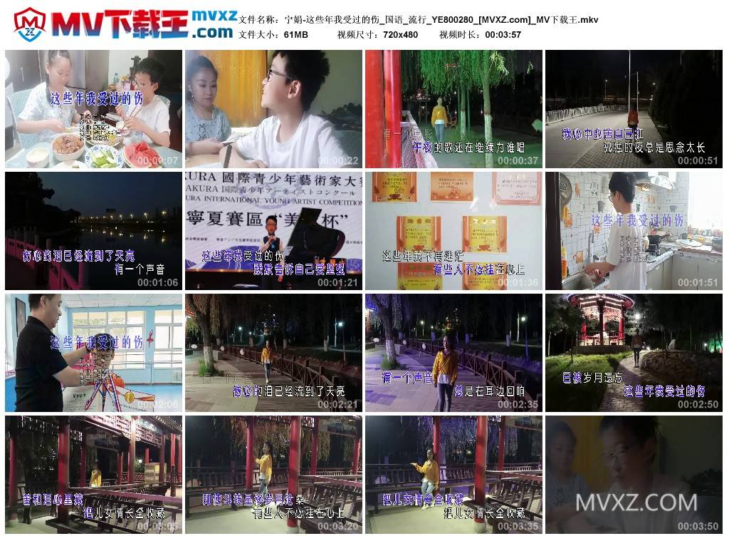 宁娟-这些年我受过的伤_国语_流行_YE800280